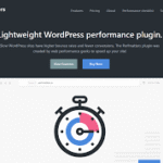 Perfmatters  – Lightweight Performance Plugin